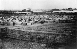 Kết quả hình ảnh cho trường thi nam định